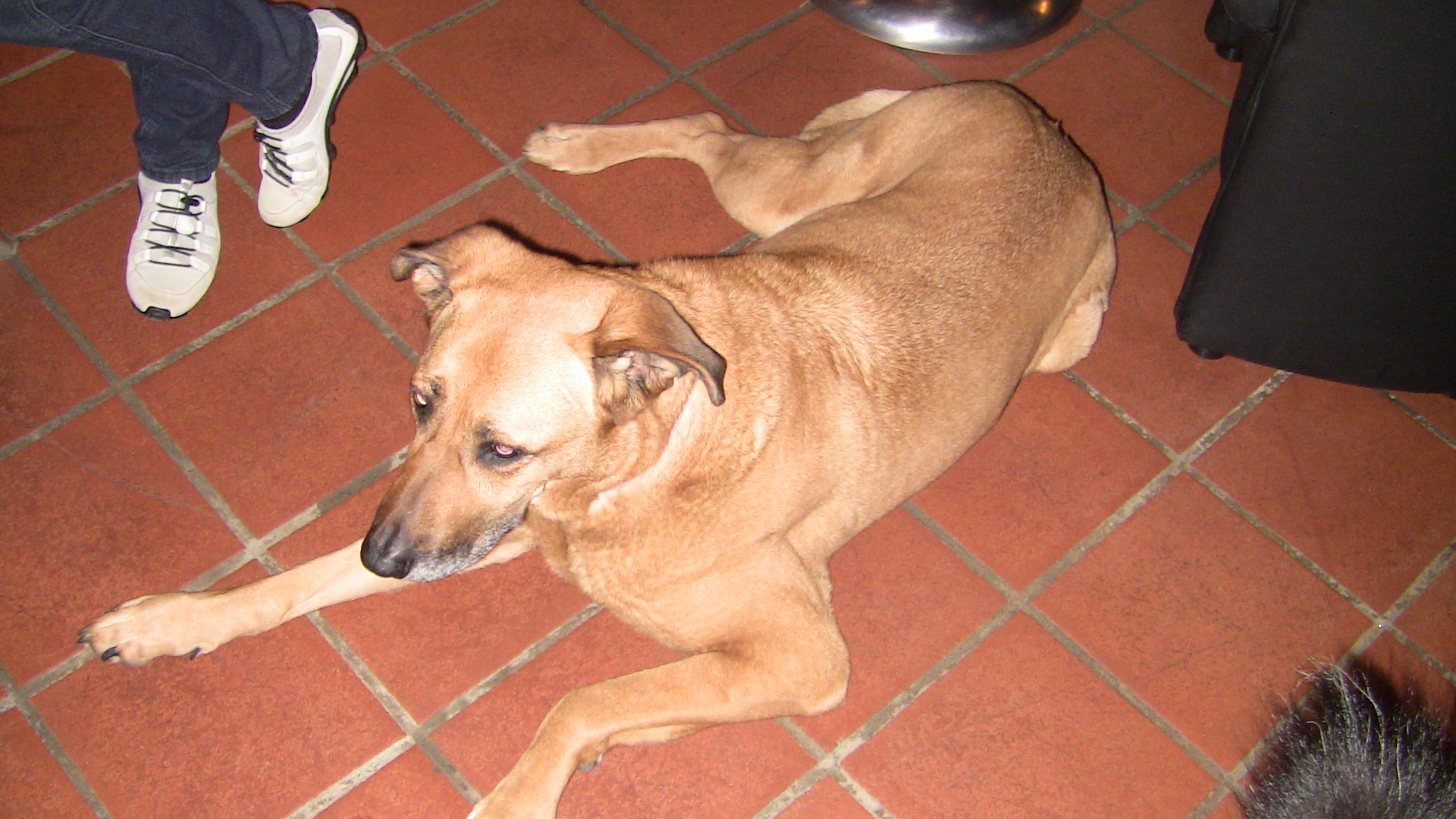 Cora.JPG (1920 x 1080)